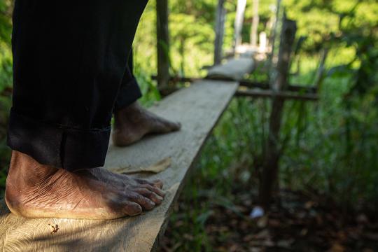 Close up of someone barefoot crossing a simple timber walkway in wetlands