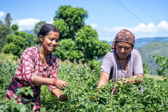 How capacity building helps climate adaptation last