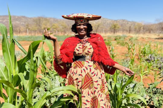 A woman stands in a field of green plants, wearing a colorful dress 