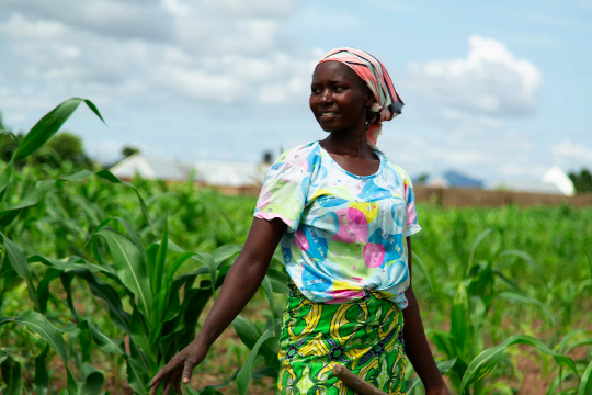 Photo: UNDP Nigeria Woman farmer in Nigeria