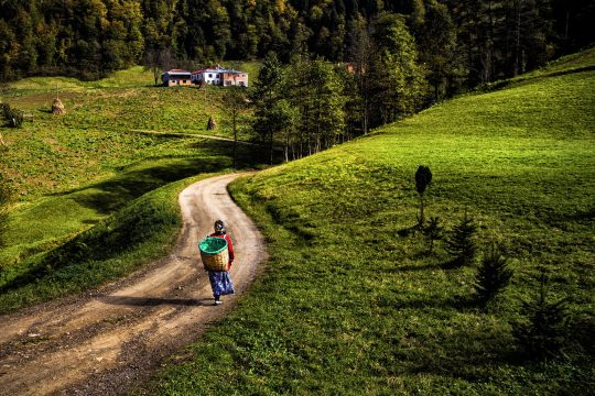 Rural scene from Turkey