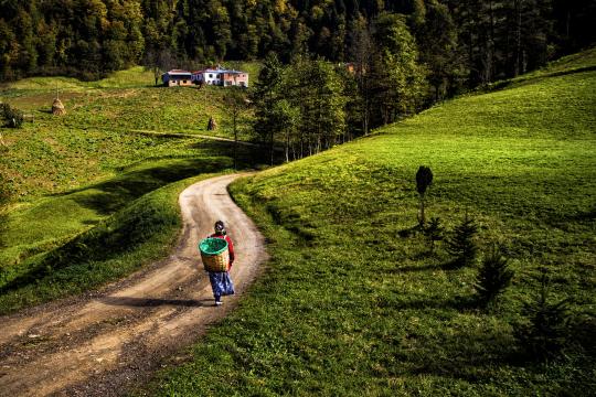 Escena rural en Turquía