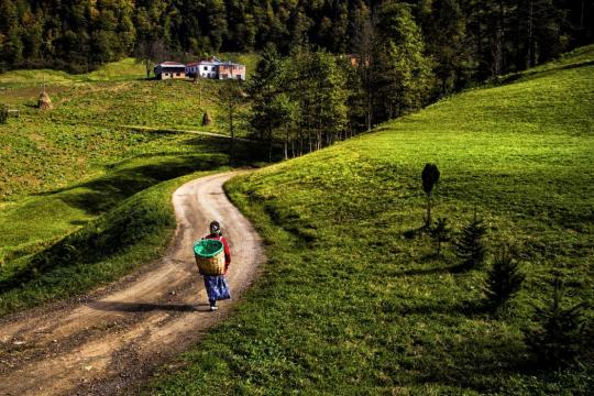 Vue aérienne de la campagne en Turquie