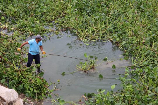 The Asi River in Türkiye has a pollution problem