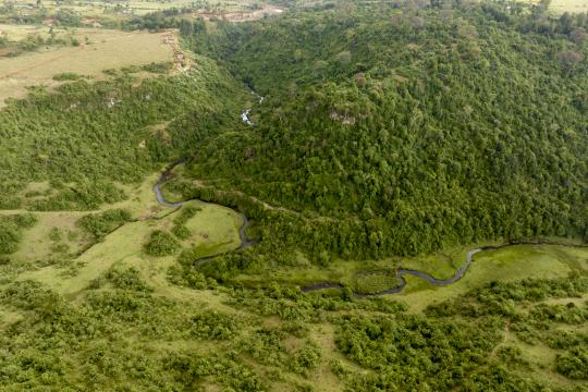 Aerial view of the Kaptagat forest in Kenya. 