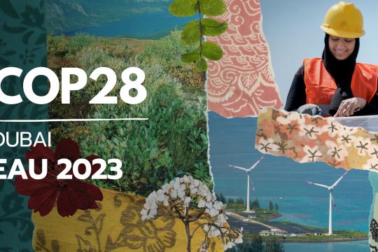 cop28
