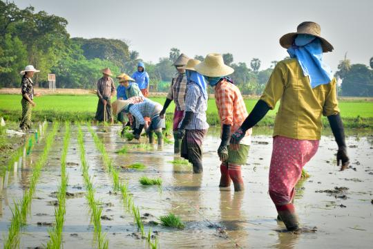 Dramatically enhancing water availability during the dry periods means that farmers are now able to continue farming in areas that were otherwise left fallow.