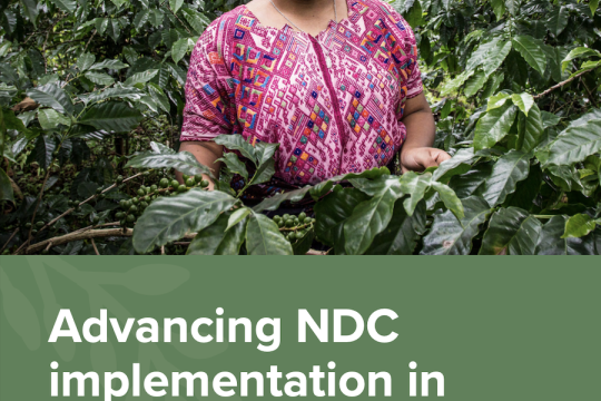 Advancing NDC implementation in the AFOLU sector