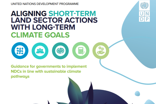 Aligning Short-Term Land Sector Actions with Long-Term Climate Goals 