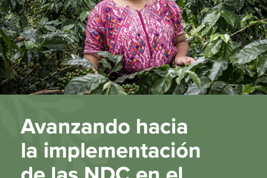 Avanzando hacia la implementación de las NDC en el sector AFOLU