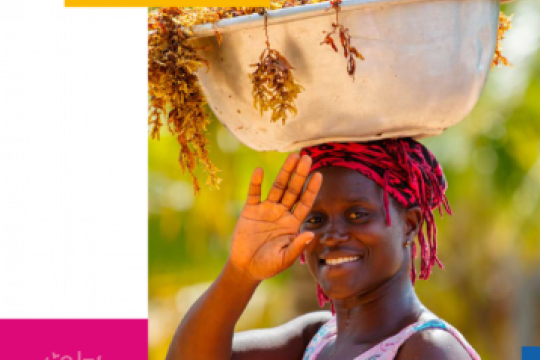 Climate Change_Ghana's Gender Action Plan report cover