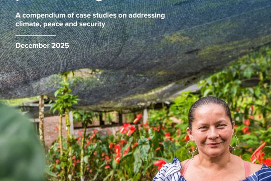 From crisis to resilience: Climate solutions for positive peacebuilding
