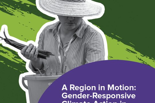  A Region in Motion: Gender-Responsive Climate Action in Latin America and the Caribbean 