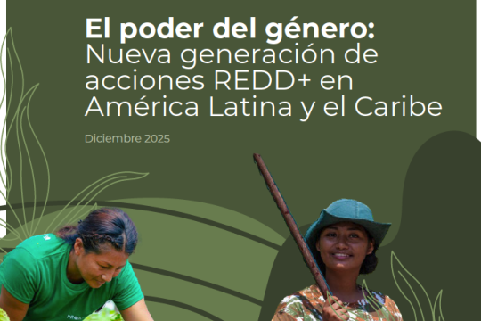 El poder del género: Nueva generación de acciónes REDD+ en América Latina y el Caribe