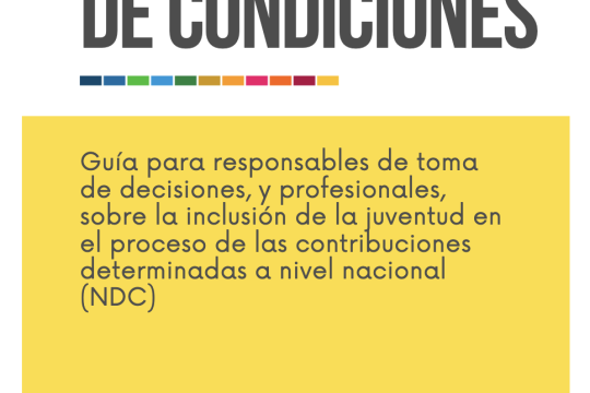 En igualdad de condiciones: Guía para responsables de toma de decisiones y profesionales sobre la inclusión de la juventud en el proceso de las NDC