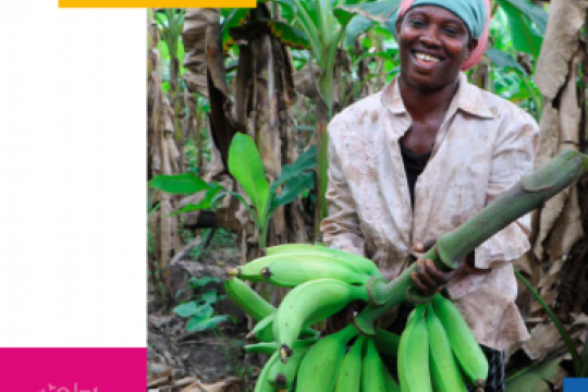 Gender mainstreaming and Ghana's NDC toolkit cover
