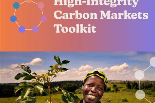 High-Integrity Carbon Markets Toolkit