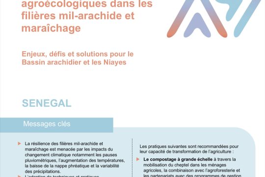 Mise à l’échelle des techniques agroécologiques dans les filières mil-arachide et maraîchage