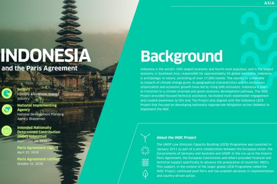 INDC Project Actions and Impacts: Indonesia