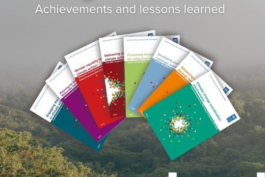 Nationally Determined Contribution Support Programme – achievements and lessons learned