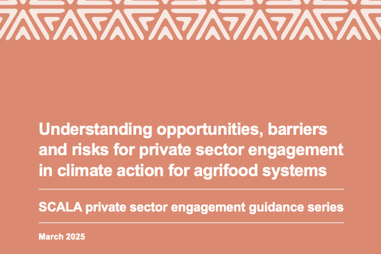 Understanding opportunities, barriers and risks for private sector engagement in climate action for agrifood systems cover