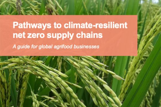 Pathways to climate-resilient net zero supply chains