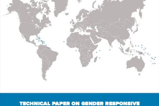 GENDER RESPONSIVE CLIMATE ACTIONS IN SMALL ISLAND DEVELOPING STATES (SIDS)