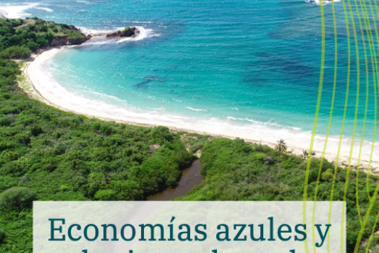 Economías azules y soluciones basadas en la naturaleza en PEID de ALC
