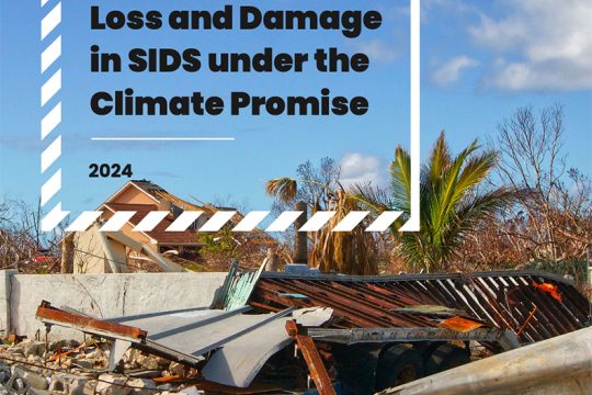 UNDP Snapshot of Loss and Damage in SIDS under the Climate Promise