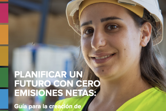 Planificar un futuro con cero emisiones netas: guía para la creación de una estrategia a largo plazo para un desarrollo con bajas emisiones (LT-LEDS)