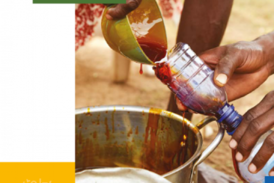 Steam production systems in food, beverage and palm oil industries_assessment report cover
