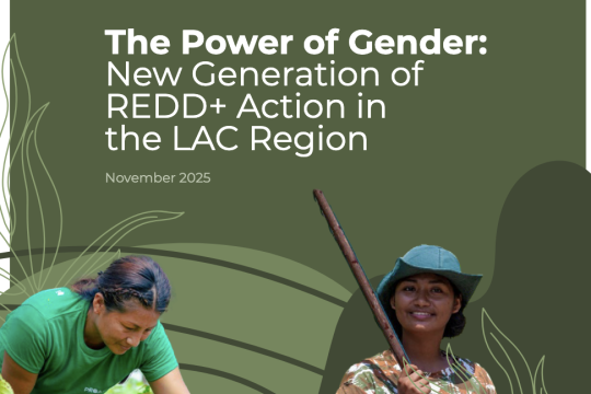The power of Gender: New Generation of REDD+ Action in the LAC Region