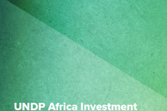UNDP Africa Investment Insights Report
