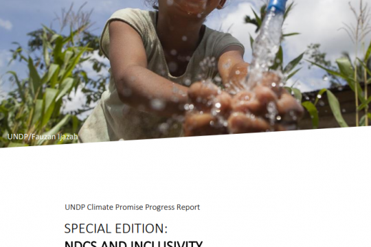 Climate Promise Progress Report - November 2020