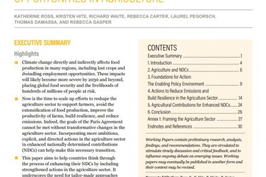 NDC Enhancement: Opportunities in Agriculture