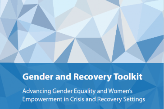UNDP Gender and Recovery Toolkit