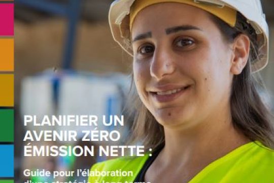 Planifier un avenir zéro Émission nette : Guide pour l’élaboration d’une stratégie à long terme de développement à faibles émissions (LT-LEDS)
