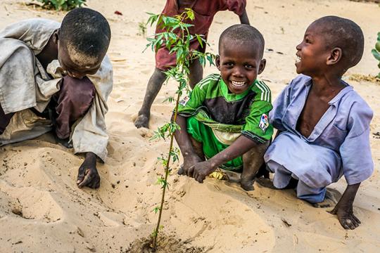 Photo: Jean Damascene Hakuzimana / UNDP Chad Local communities are fighting against desertification in Lake Chad region