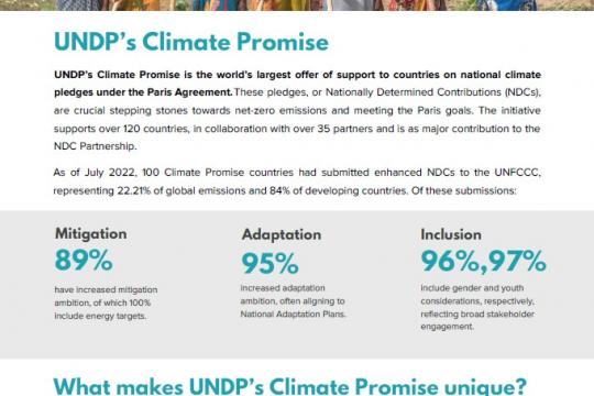 Climate Promise Brocuhure
