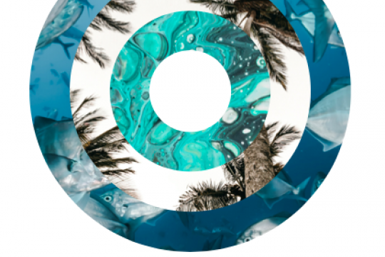 Vanuatu - Circular Economy Opportunities