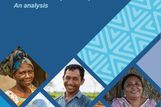 Agrifood systems in national adaptation plans: An analysis
