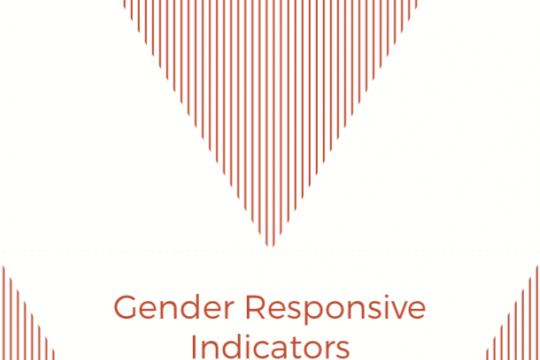 Gender Responsive Indicators: Gender and NDC Planning for Implementation