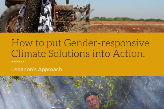 How to put Gender-responsive Climate Solutions into Action - Lebanon’s Approach