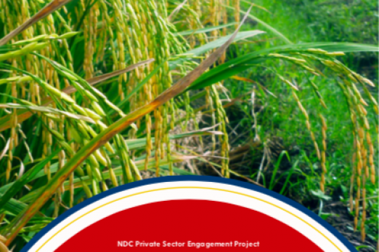 Philippines Private Sector Investment Agriculture