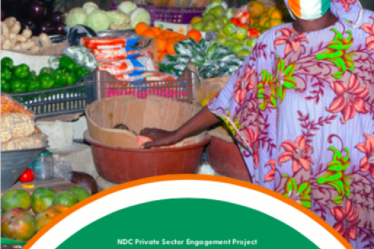 Cote d'Ivoire Assessment of private sector investment potential in the energy sector
