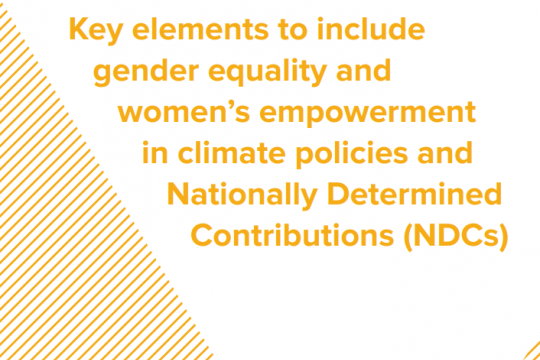 Gender checklist