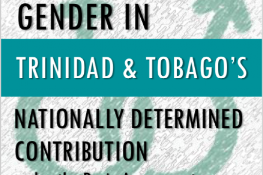 Mainstreaming Gender in NDC in Trinidad and Tobago