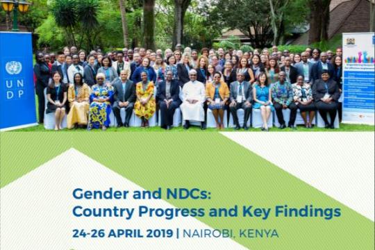 Gender and NDCs: Country Progress and Key Findings