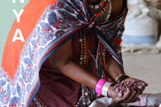Kenya Gender Analysis