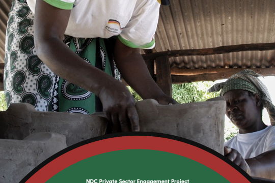 Assessment of Private Sector Investment Potential in the Energy Sector